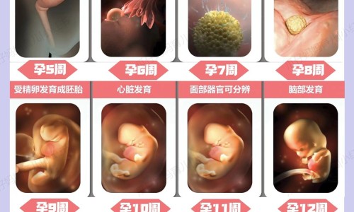 孕妇能吃酸辣粉吗对胎儿有影响吗-孕妇可以吃酸辣粉丝吗专区_孕妇可以吃酸辣粉丝吗专区_生期间可以吃酸辣粉吗网